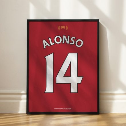 Liverpool FC 2008/09 - Framed Shirt Print - Xabi Alonso